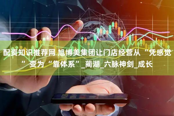 配资知识推荐网 旭博美集团让门店经营从 “凭感觉” 变为 “靠体系”_蔺湖_六脉神剑_成长