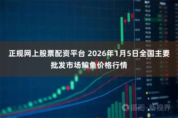 正规网上股票配资平台 2026年1月5日全国主要批发市场鳊鱼价格行情