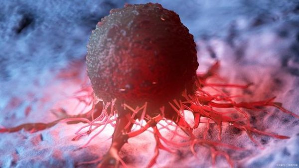 配资概念股票 人一生得癌概率有多高？医生：常喝绿茶的人，癌症风险或更低？